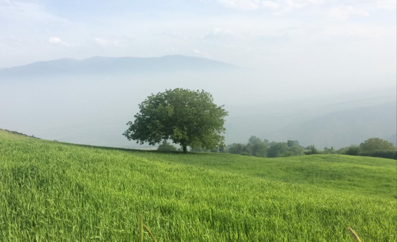 رستم آباد گیلان، رستم آباد، رستم آباد رودبار، گردشگری رستم آباد، جاذبه های رستم آباد، طبیعت گردی رستم آباد گیلان، مناطق دیدنی رستم آباد، جاهای دیدنی رستم آباد گیلان